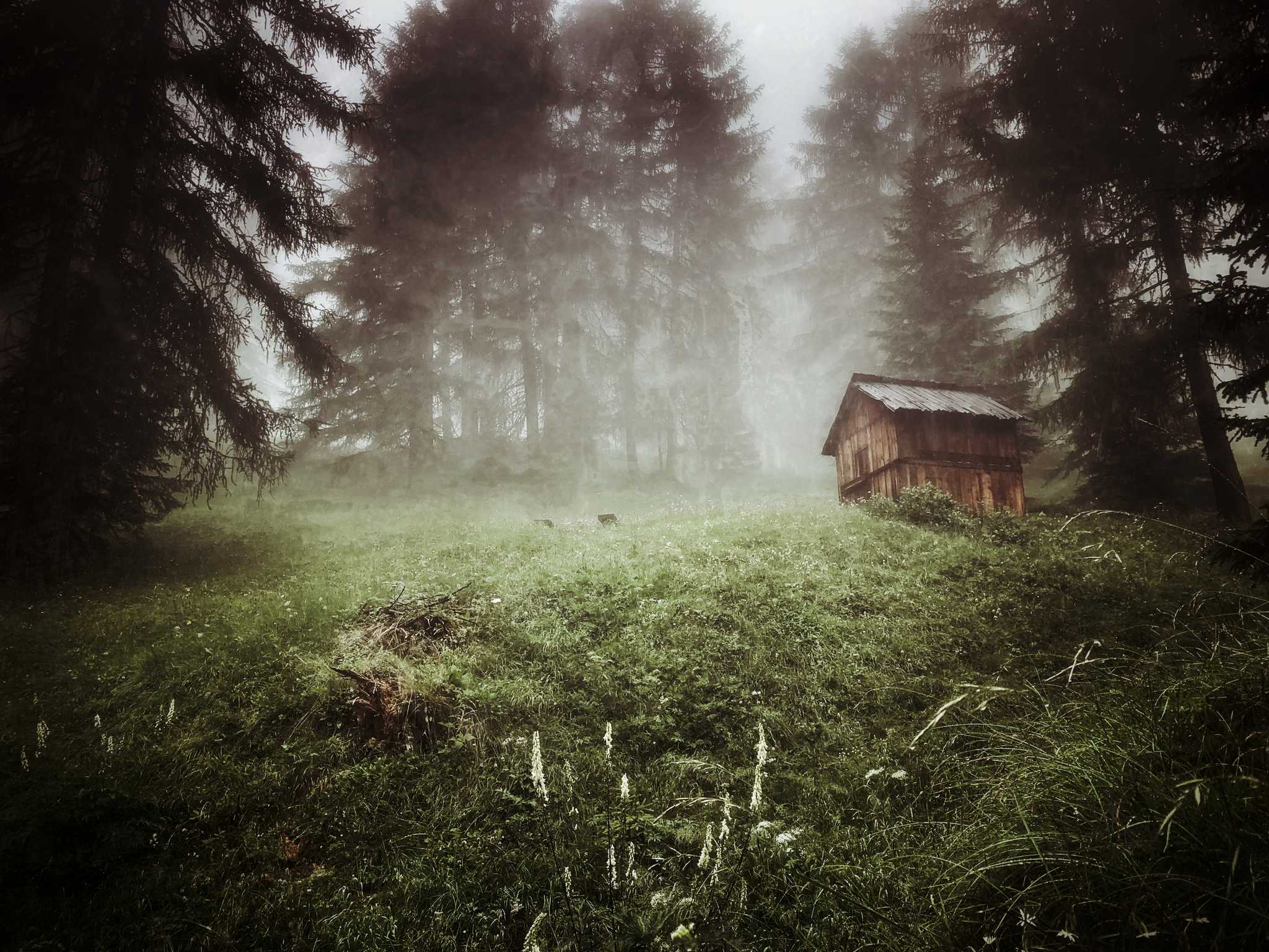 Hut in mist, Corvara, South Tyrol, Italy